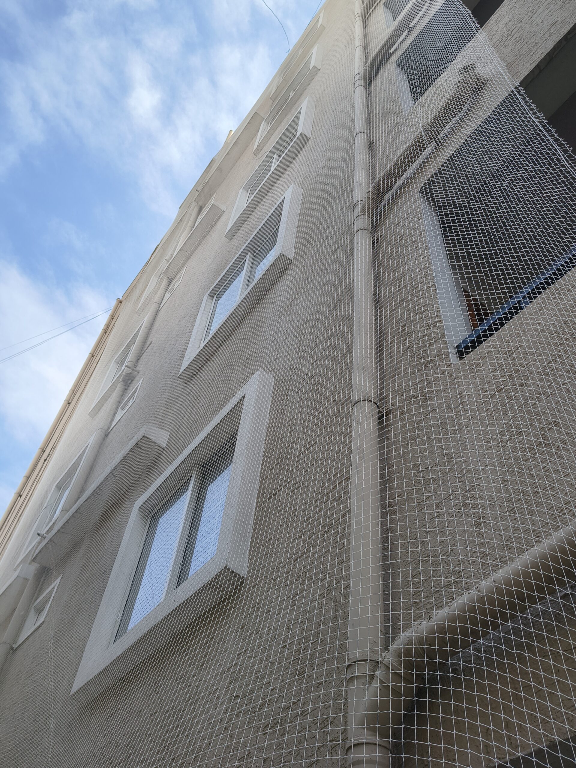 Pigeon Nets for Buildings