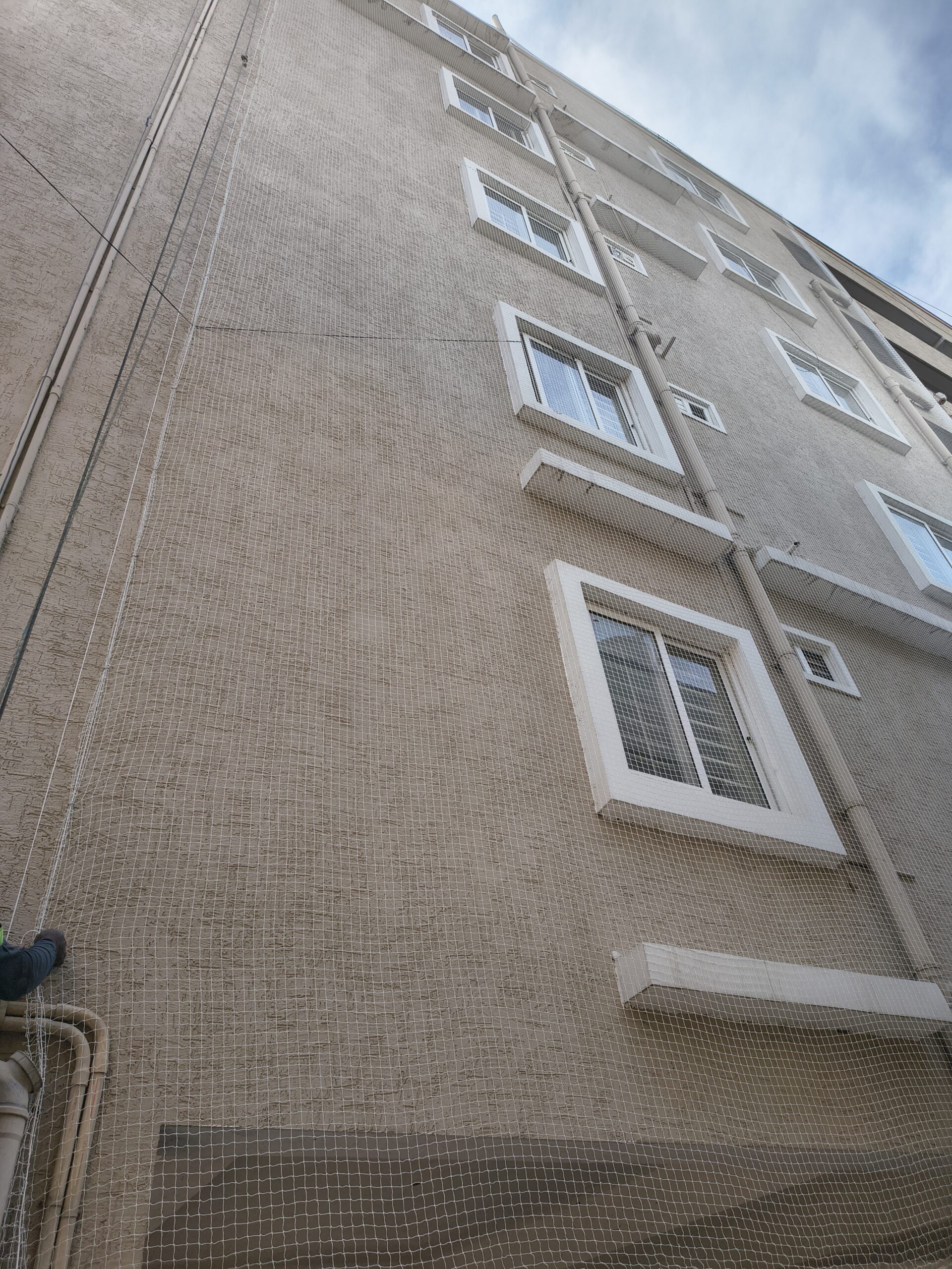 Apartment Pigeon Nets