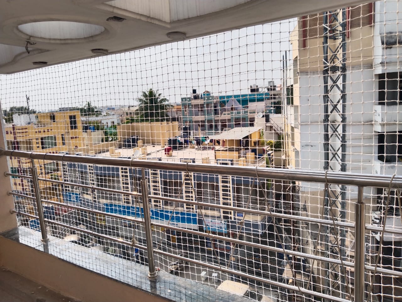 Monkey Safety Nets in Mylapore