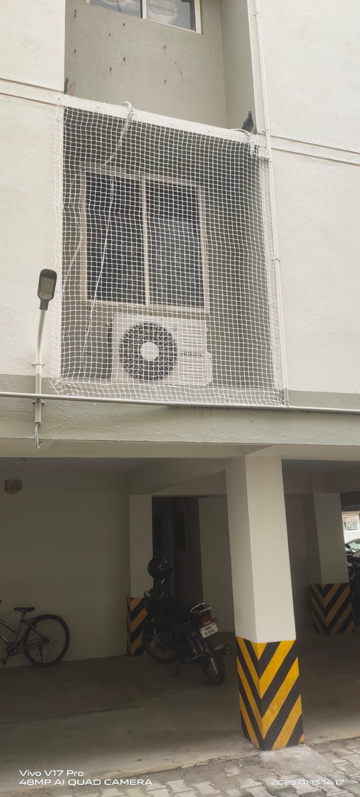 Window Bird Nets