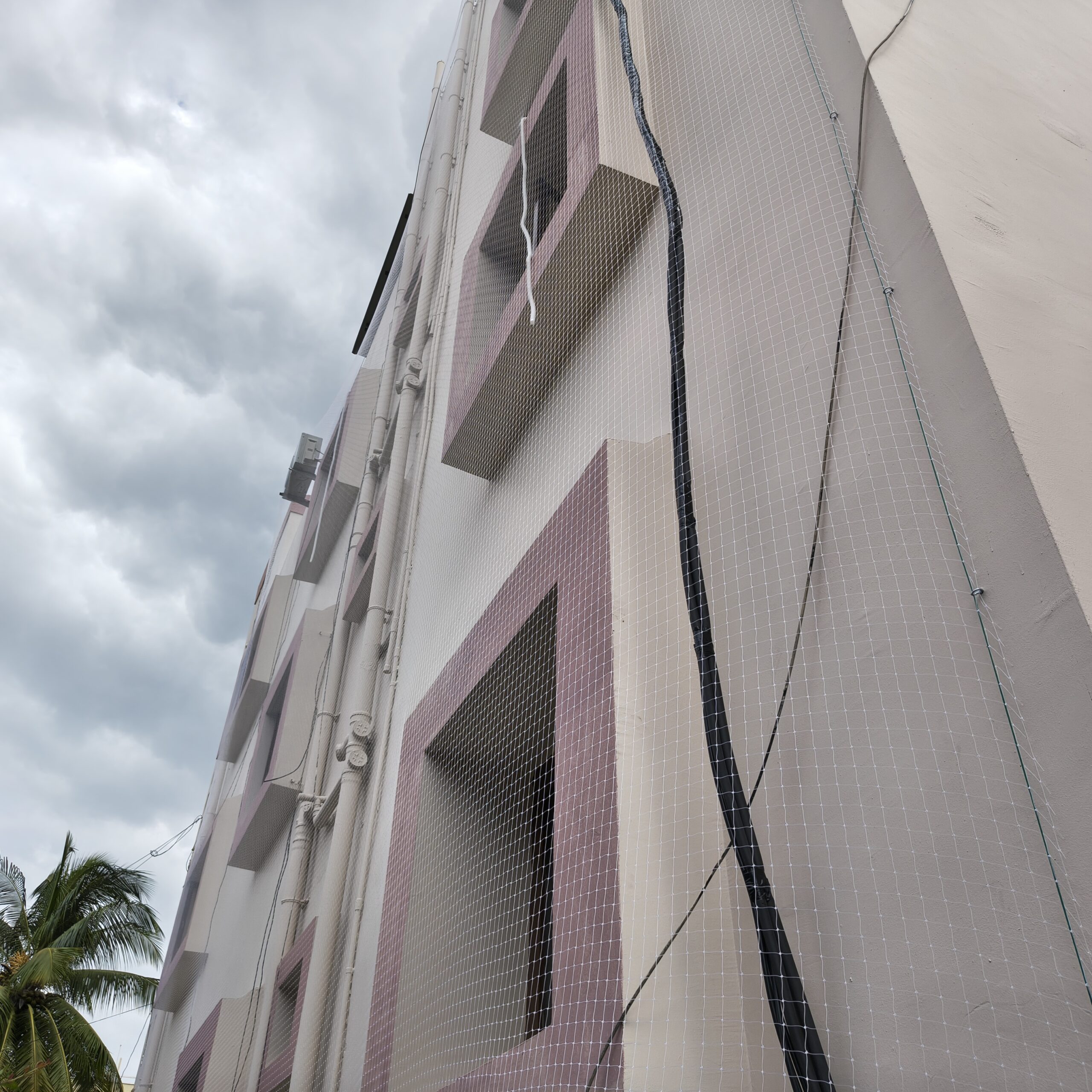 Children Safety Nets Review