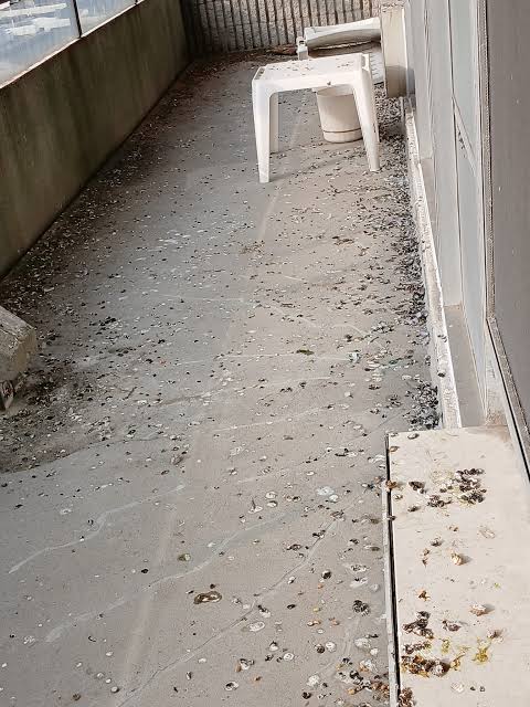 Dirty Balconies