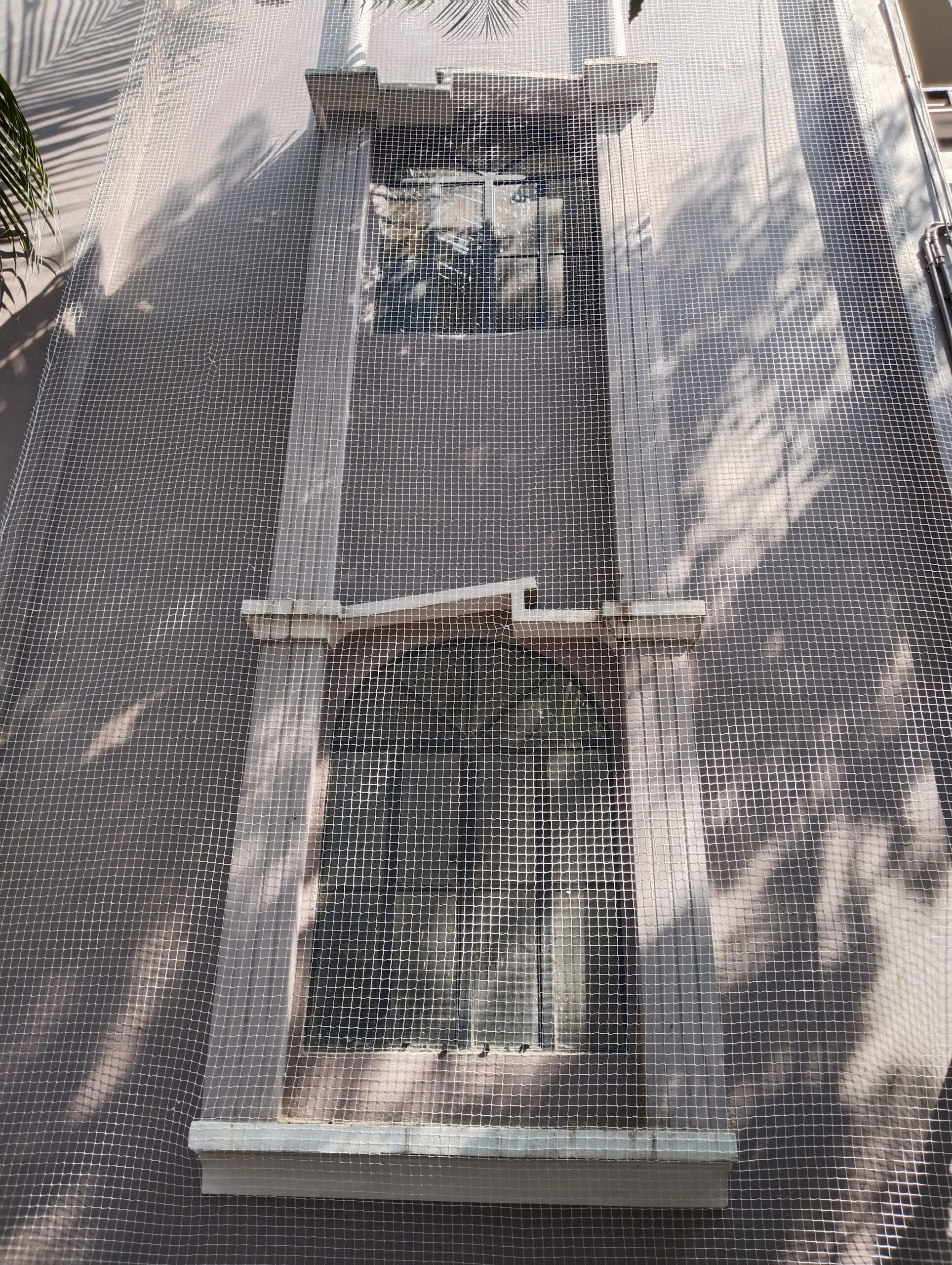 Window Pigeon Nets