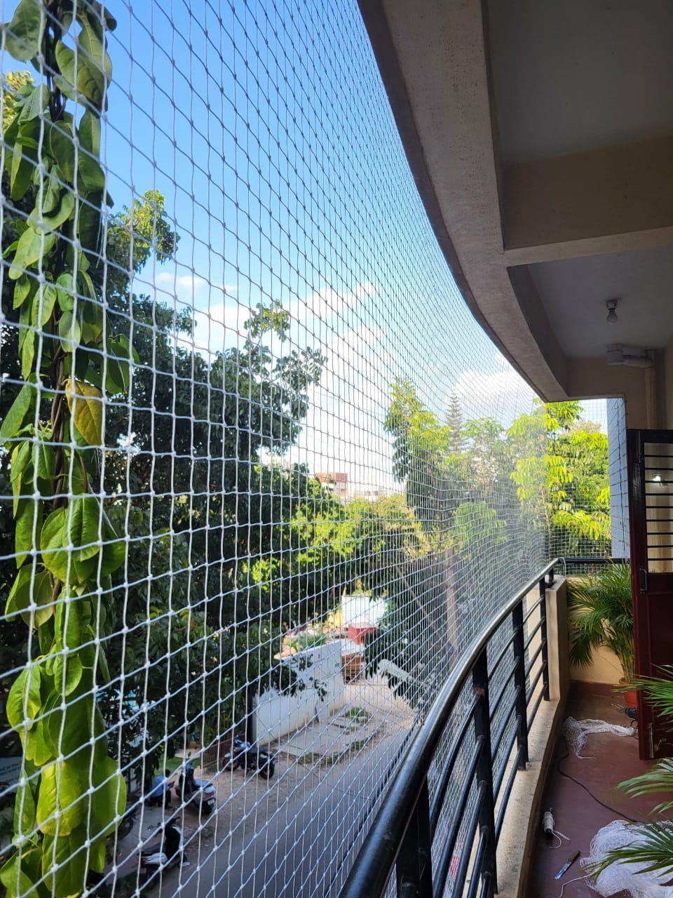 Apartment pigeon nets Cuttack