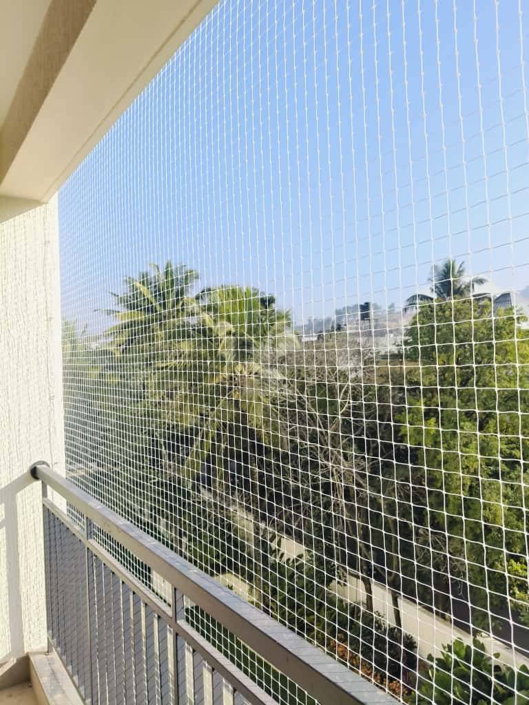 Pigeon net solution Cuttack Chennai