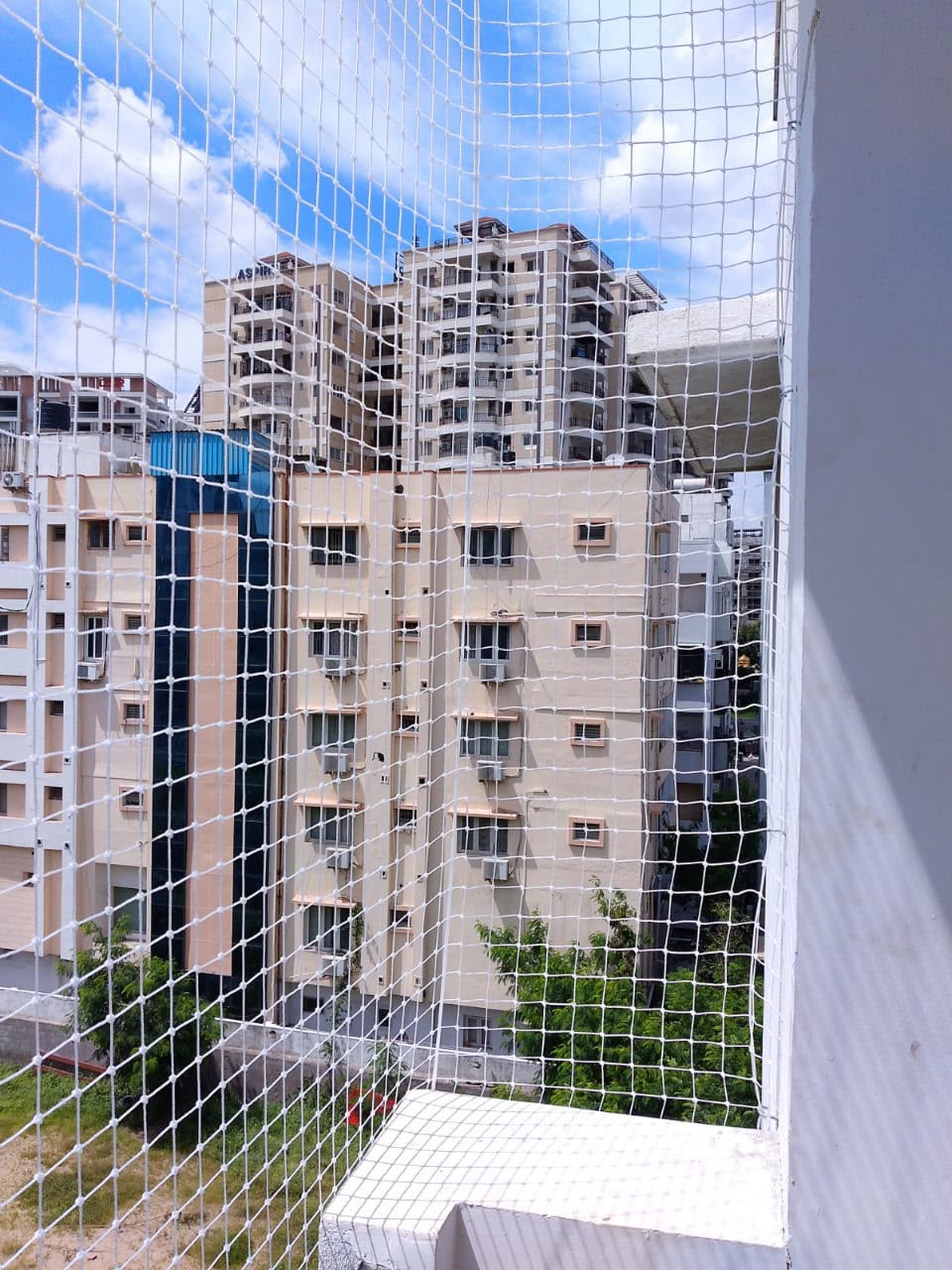 Pigeon Nets in Alwarpet Chennai